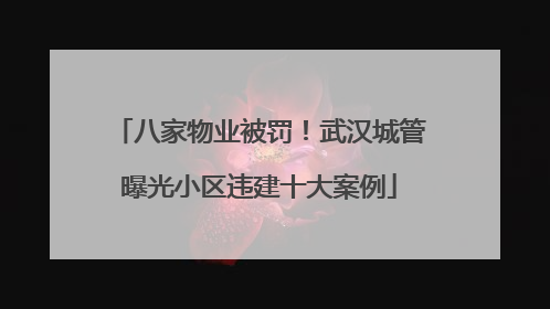 八家物业被罚！武汉城管曝光小区违建十大案例