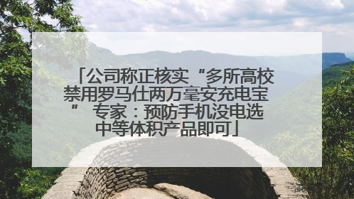 公司称正核实“多所高校禁用罗马仕两万毫安充电宝” 专家：预防手机没电选中等体积产品即可