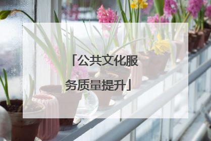 公共文化服务质量提升