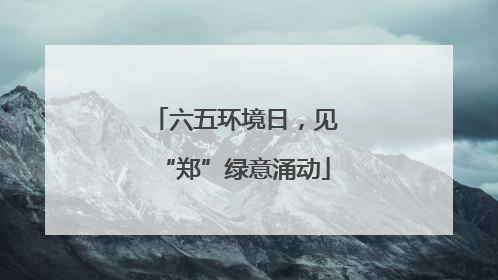 六五环境日，见“郑”绿意涌动