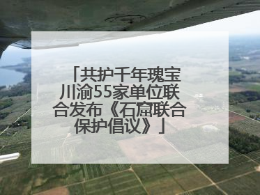 共护千年瑰宝 川渝55家单位联合发布《石窟联合保护倡议》