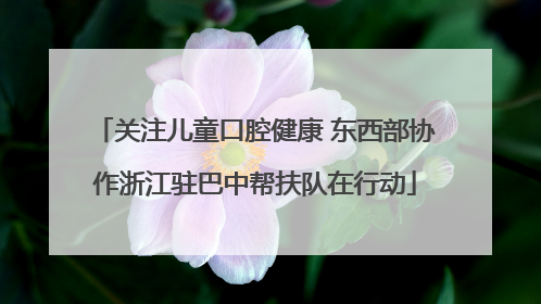 关注儿童口腔健康 东西部协作浙江驻巴中帮扶队在行动