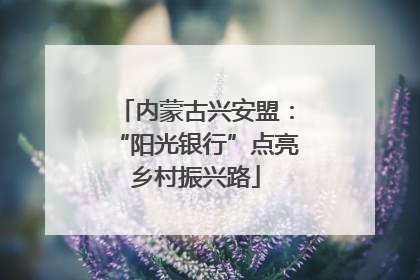 内蒙古兴安盟：“阳光银行”点亮乡村振兴路