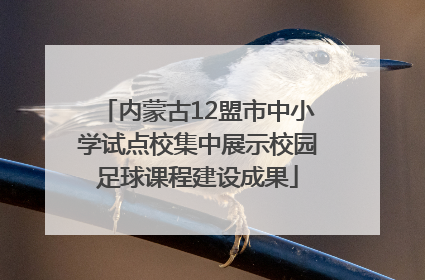 内蒙古12盟市中小学试点校集中展示校园足球课程建设成果