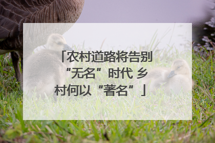 农村道路将告别“无名”时代 乡村何以“著名”