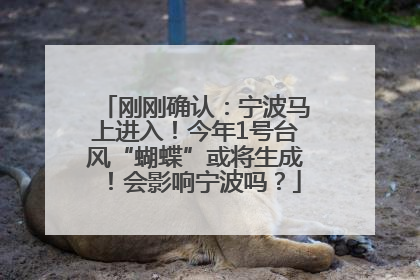 刚刚确认：宁波马上进入！今年1号台风“蝴蝶”或将生成！会影响宁波吗？