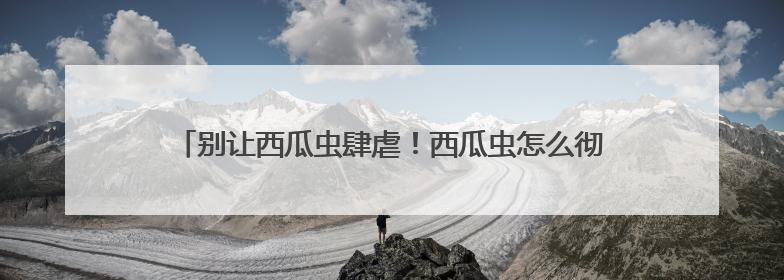 别让西瓜虫肆虐！西瓜虫怎么彻底消灭，潮虫用什么药最有效？