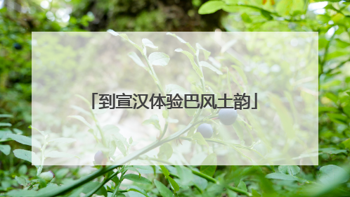 到宣汉体验巴风土韵