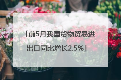 前5月我国货物贸易进出口同比增长2.5%