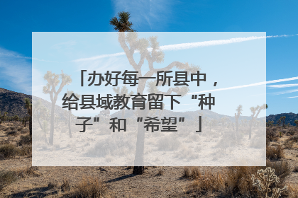 办好每一所县中，给县域教育留下“种子”和“希望”