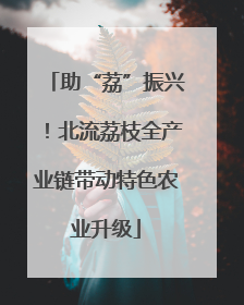 助“荔”振兴！北流荔枝全产业链带动特色农业升级
