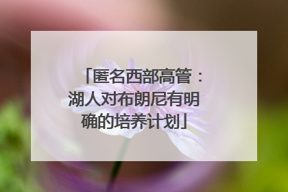 匿名西部高管：湖人对布朗尼有明确的培养计划