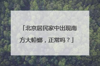北京居民家中出现南方大蟑螂，正常吗？