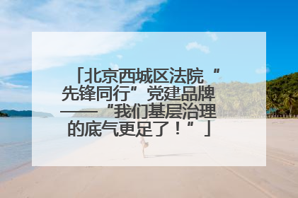 北京西城区法院“先锋同行”党建品牌——“我们基层治理的底气更足了！”