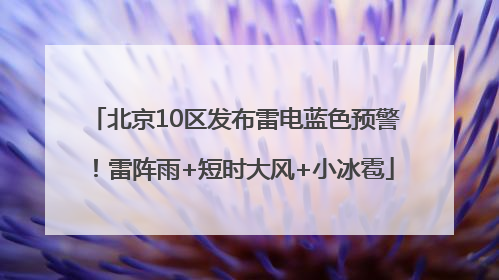 北京10区发布雷电蓝色预警！雷阵雨+短时大风+小冰雹