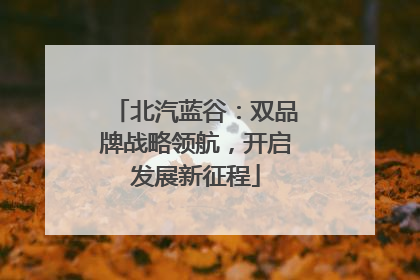 北汽蓝谷：双品牌战略领航，开启发展新征程