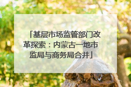 基层市场监管部门改革探索：内蒙古一地市监局与商务局合并