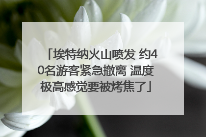 埃特纳火山喷发 约40名游客紧急撤离 温度极高感觉要被烤焦了