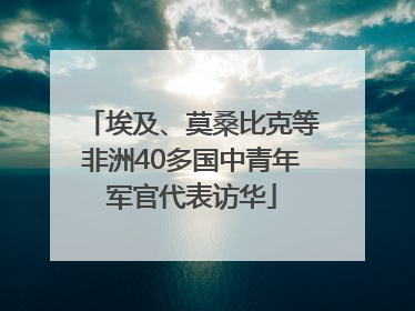 埃及、莫桑比克等非洲40多国中青年军官代表访华