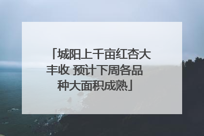 城阳上千亩红杏大丰收 预计下周各品种大面积成熟