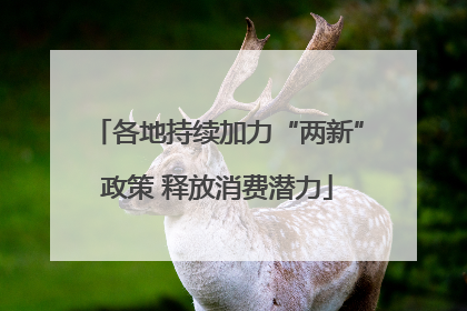 各地持续加力“两新”政策 释放消费潜力