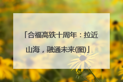 合福高铁十周年：拉近山海，融通未来(图)