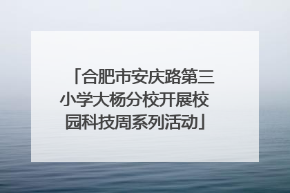 合肥市安庆路第三小学大杨分校开展校园科技周系列活动