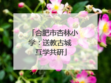 合肥市杏林小学：送教古城 互学共研