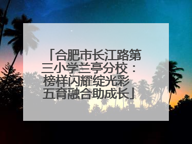 合肥市长江路第三小学兰亭分校：榜样闪耀绽光彩 五育融合助成长