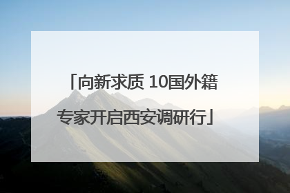 向新求质 10国外籍专家开启西安调研行