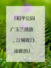 和平公园广玉兰盛放，江城夏日添雅韵