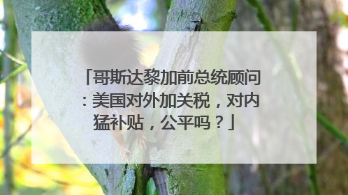 哥斯达黎加前总统顾问：美国对外加关税，对内猛补贴，公平吗？