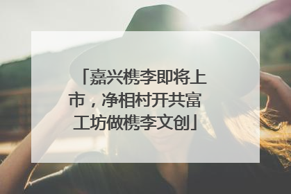 嘉兴槜李即将上市，净相村开共富工坊做槜李文创