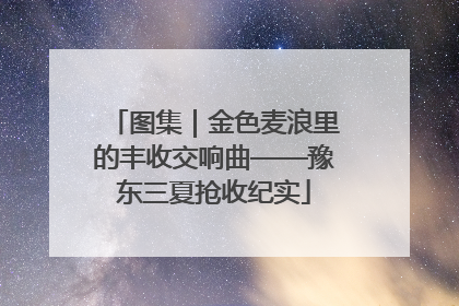 图集｜金色麦浪里的丰收交响曲——豫东三夏抢收纪实