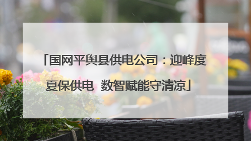 国网平舆县供电公司：迎峰度夏保供电  数智赋能守清凉