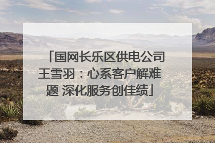 国网长乐区供电公司王雪羽：心系客户解难题 深化服务创佳绩