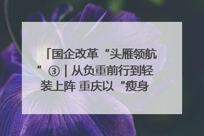国企改革“头雁领航”③｜从负重前行到轻装上阵 重庆以“瘦身”谋“健体”