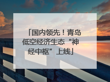 国内领先！青岛低空经济生态“神经中枢”上线