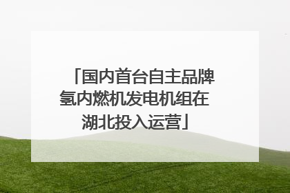 国内首台自主品牌氢内燃机发电机组在湖北投入运营