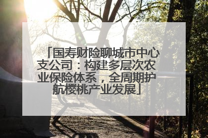 国寿财险聊城市中心支公司：构建多层次农业保险体系，全周期护航樱桃产业发展