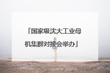 国家级沈大工业母机集群对接会举办