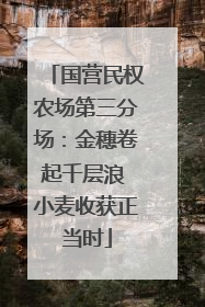 国营民权农场第三分场：金穗卷起千层浪 小麦收获正当时