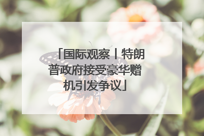 国际观察丨特朗普政府接受豪华赠机引发争议
