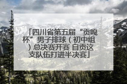 四川省第五届“贡嘎杯”男子排球（初中组）总决赛开赛 自贡这支队伍打进半决赛