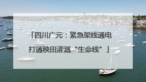 四川广元：紧急架线通电 打通秧田灌溉“生命线”