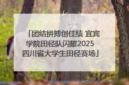 团结拼搏创佳绩 宜宾学院田径队闪耀2025四川省大学生田径赛场