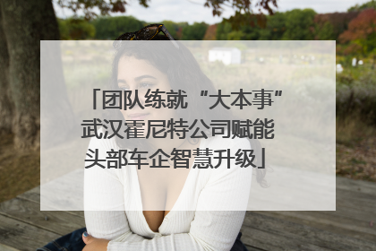 团队练就“大本事” 武汉霍尼特公司赋能头部车企智慧升级