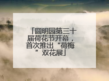 圆明园第三十届荷花节开幕，首次推出“荷梅”双花展
