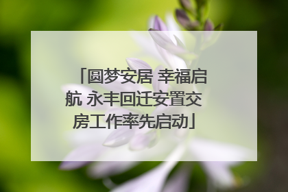圆梦安居 幸福启航 永丰回迁安置交房工作率先启动
