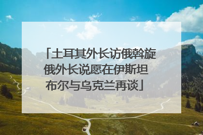 土耳其外长访俄斡旋 俄外长说愿在伊斯坦布尔与乌克兰再谈
